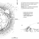 Illustration for article titled This Is Not A Crater, So What Is It?